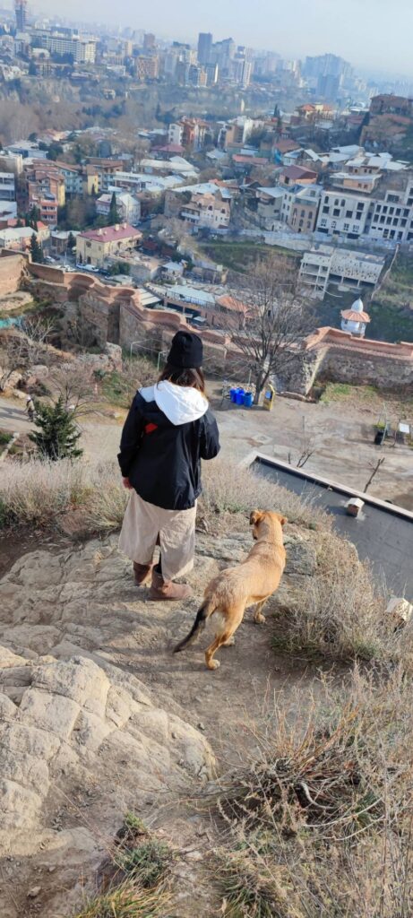 ナリカラ要塞で犬と仲良くなりました
